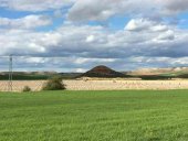 La producción de almendras se abre paso en Almaluez La producción de almendras se abre paso en Almaluez