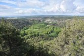 La Junta adjudica la mejora de la carretera del Cañón del Río Lobos La Junta adjudica la mejora de la carretera del Cañón del Río Lobos