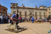 El PSOE urge a solicitar la declaración de Almazán como conjunto histórico artístico El PSOE urge a solicitar la declaración de Almazán como conjunto histórico artístico