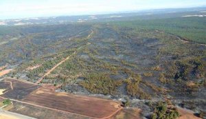 Acciones civiles por daños y perjuicios del incendio de Barcebalejo Acciones civiles por daños y perjuicios del incendio de Barcebalejo
