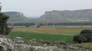 La Junta aprueba la DIA de la granja porcina de Berlanga La Junta aprueba la DIA de la granja porcina de Berlanga