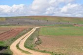 Castilla y León, la que más población perdió en 2017 Castilla y León, la que más población perdió en 2017