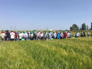 400 agricultores visitan los campos de ensayo de ASAJA Soria 400 agricultores visitan los campos de ensayo de ASAJA Soria