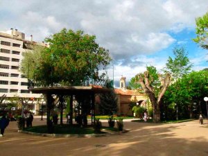 La tradicional verbena en el Árbol de la Música se recupera La tradicional verbena en el Árbol de la Música se recupera