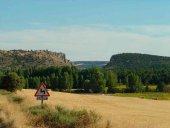 Presentadas alegaciones contra la granja porcina de Andaluz Presentadas alegaciones contra la granja porcina de Andaluz