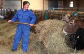 Un premio para reconocer las mejores ideas empresariales de las mujeres en medio rural Un premio para reconocer las mejores ideas empresariales de las mujeres en medio rural