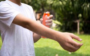 Decálogo para protegerse de las picaduras de los mosquitos Decálogo para protegerse de las picaduras de los mosquitos