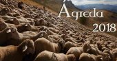 Curso de verano en Ágreda sobre la importancia de la trashumancia Curso de verano en Ágreda sobre la importancia de la trashumancia