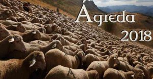 Curso de verano en Ágreda sobre la importancia de la trashumancia Curso de verano en Ágreda sobre la importancia de la trashumancia