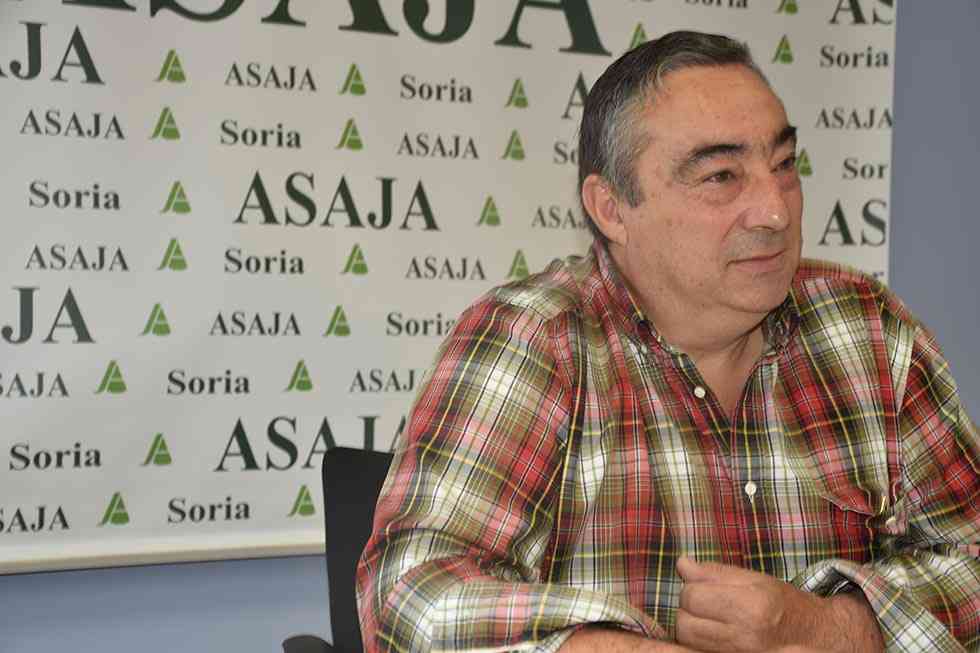 ASAJA Soria tacha la cosecha cerealista de aceptable pero irregular ASAJA Soria tacha la cosecha cerealista de aceptable pero irregular