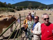 Barcones apuesta por la profesionalización del sector en feria ganadera de Vinuesa Barcones apuesta por la profesionalización del sector en feria ganadera de Vinuesa