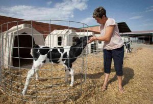 Subvenciones para facilitar el alta laboral de mujeres del medio rural Subvenciones para facilitar el alta laboral de mujeres del medio rural