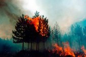 Situación meteorológica adversa, con peligro de incendios Situación meteorológica adversa, con peligro de incendios