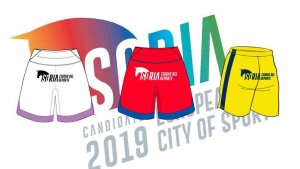 El Numancia "se viste" la candidatura Soria, Ciudad Europea del Deporte El Numancia "se viste" la candidatura Soria, Ciudad Europea del Deporte
