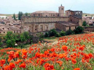 La segunda Fiesta del Pan será en Berlanga de Duero La segunda Fiesta del Pan será en Berlanga de Duero