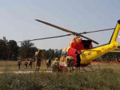 El Gobierno renovará las bases de la BRIF El Gobierno renovará las bases de la BRIF