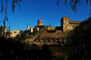 El PSOE denuncia que Almazán ha perdido 479 habitantes en siete años El PSOE denuncia que Almazán ha perdido 479 habitantes en siete años