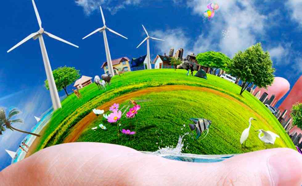 Las cooperativas de energías renovables crecen a pesar de las barreras burocráticas Las cooperativas de energías renovables crecen a pesar de las barreras burocráticas