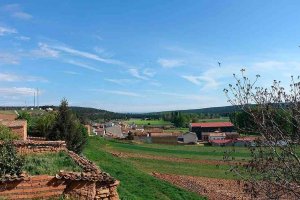 Concedida autorización para granja porcina de 4.546 plazas en Matamala de Almazán Concedida autorización para granja porcina de 4.546 plazas en Matamala de Almazán