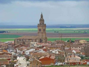 Detenido el presunto homicida de un joven en Nava del Rey Detenido el presunto homicida de un joven en Nava del Rey