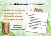 Curso sobre actividades auxiliares en micología y resina Curso sobre actividades auxiliares en micología y resina