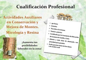 Curso sobre actividades auxiliares en micología y resina Curso sobre actividades auxiliares en micología y resina