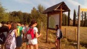 Quinientos niños recurren en verano a los recursos de ocio del Ayuntamiento Quinientos niños recurren en verano a los recursos de ocio del Ayuntamiento