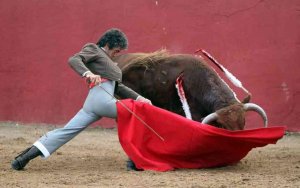 Rubén Sanz abre la puerta grande en Arcos de Jalón Rubén Sanz abre la puerta grande en Arcos de Jalón