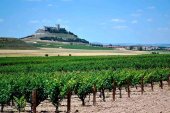 Los enoturistas prefieren la ruta del Vino, según estudio Los enoturistas prefieren la ruta del Vino, según estudio