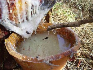La Diputación dictamina 60 ayudas para fomentar la resina La Diputación dictamina 60 ayudas para fomentar la resina
