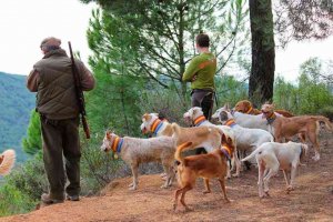 Desconvocada la huelga de rehaleros en Soria Desconvocada la huelga de rehaleros en Soria
