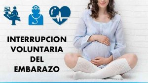 Solicitan información sobre interrupción voluntaria del embarazo en la región Solicitan información sobre interrupción voluntaria del embarazo en la región