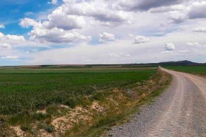 Podemos rechaza concesión de agua para macrovaquería de Noviercas Podemos rechaza concesión de agua para macrovaquería de Noviercas