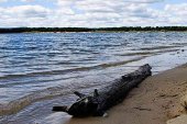La Cuerda del Pozo, al 62 por ciento de su capacidad La Cuerda del Pozo, al 62 por ciento de su capacidad