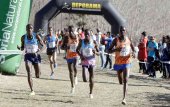 El Campo a través de Soria celebra su XXV aniversario en categoría IAAF El Campo a través de Soria celebra su XXV aniversario en categoría IAAF