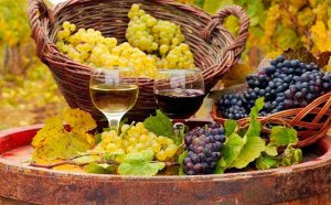 "Rutas del Vino Castilla y León", una marca para reforzar el enoturismo "Rutas del Vino Castilla y León", una marca para reforzar el enoturismo
