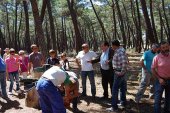 Tardelcuende analiza los retos de la innovación en mecanización de resinación Tardelcuende analiza los retos de la innovación en mecanización de resinación