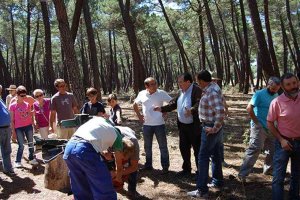 Tardelcuende analiza los retos de la innovación en mecanización de resinación Tardelcuende analiza los retos de la innovación en mecanización de resinación
