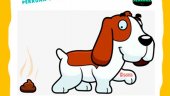 Campaña para evitar los "marrones" de los perros Campaña para evitar los "marrones" de los perros