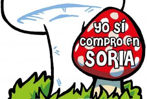 La Cámara abre inscripciones para concurso de decoración micológica La Cámara abre inscripciones para concurso de decoración micológica