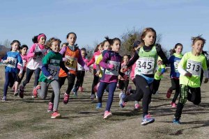 Abiertas las inscripciones para el Campo a través de Soria Abiertas las inscripciones para el Campo a través de Soria