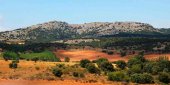 Localizada una plantación de marihuana entre Los Rábanos y Carbonera Localizada una plantación de marihuana entre Los Rábanos y Carbonera