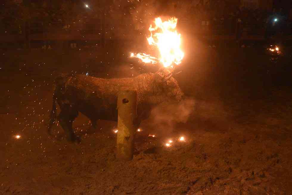 Medinaceli celebra sin incidentes el único toro de fuego de la región Medinaceli celebra sin incidentes el único toro de fuego de la región