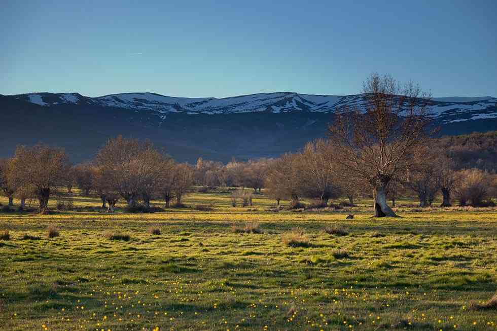 El Valle de la Mantequilla se posiciona como marca turística El Valle de la Mantequilla se posiciona como marca turística