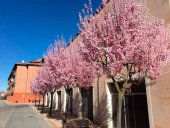 Contratación de obras de saneamiento y pavimentación Contratación de obras de saneamiento y pavimentación
