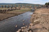 La Cuerda del Pozo, al 61 por ciento de su capacidad La Cuerda del Pozo, al 61 por ciento de su capacidad
