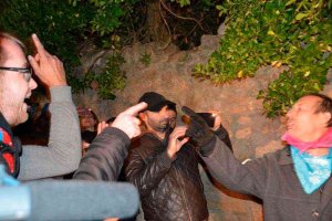 El toro jubilo mantiene el dispositivo de seguridad El toro jubilo mantiene el dispositivo de seguridad