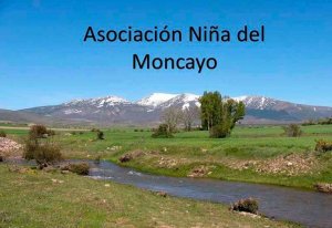 Día de la Socia en la asociación Niña del Moncayo Día de la Socia en la asociación Niña del Moncayo