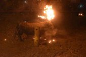 Medinaceli celebra sin incidentes el único toro de fuego de la región Medinaceli celebra sin incidentes el único toro de fuego de la región