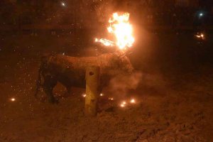 Medinaceli celebra sin incidentes el único toro de fuego de la región Medinaceli celebra sin incidentes el único toro de fuego de la región